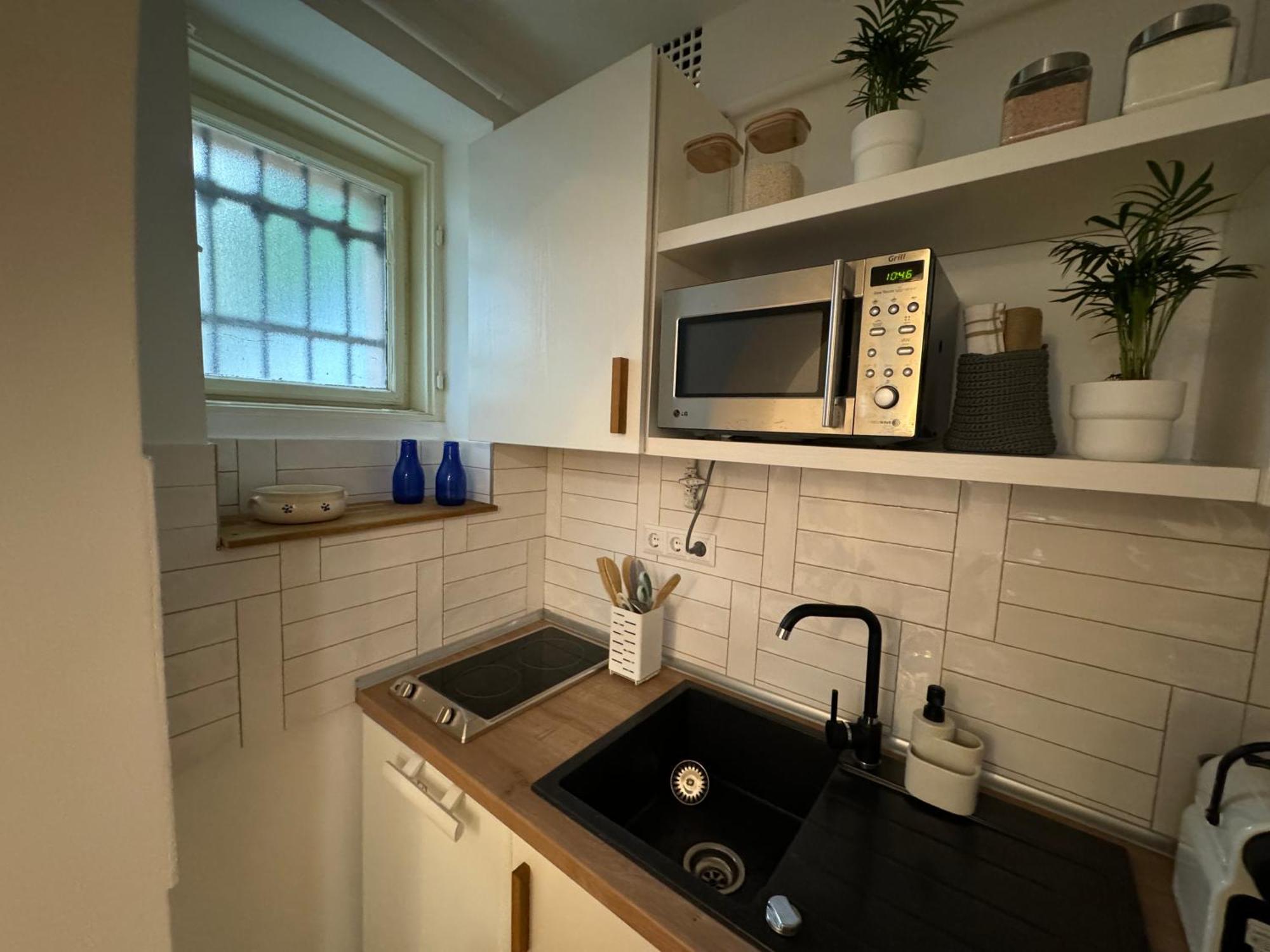Little Swan Apartman Budapeszt Zewnętrze zdjęcie